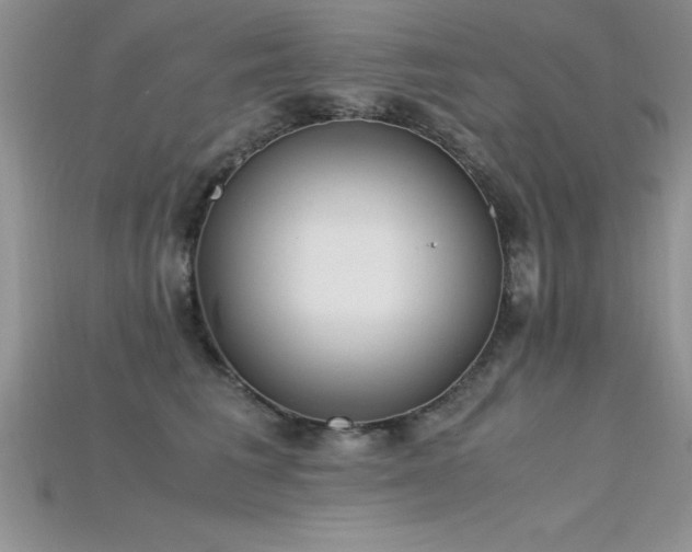 X0000115660613200911121215