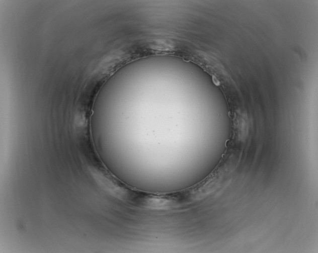 X0000115660614200911121215