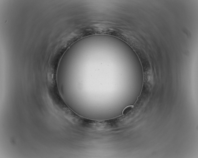 X0000115660615200911121215