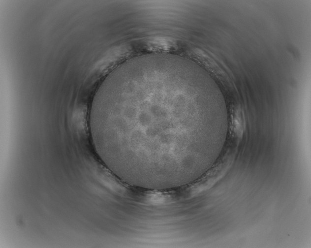 X0000115660616200911121215