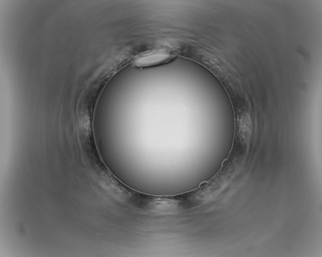 X0000115660617200911121215