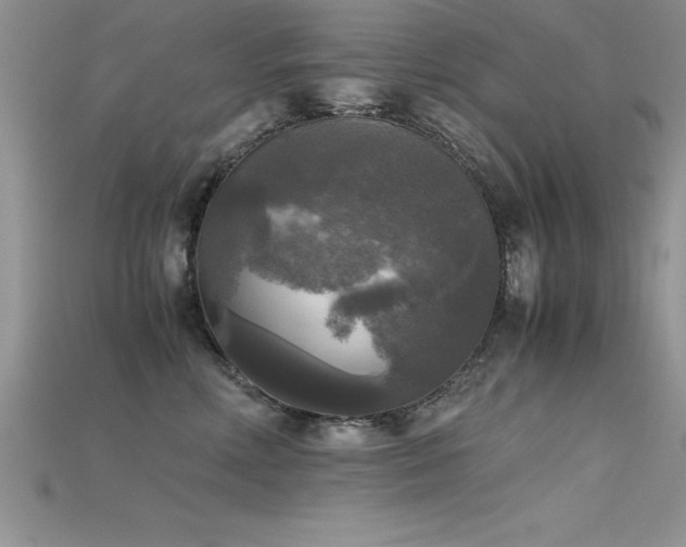 X0000115660618200911121215