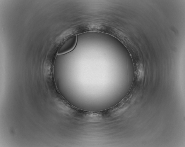 X0000115660619200911121215