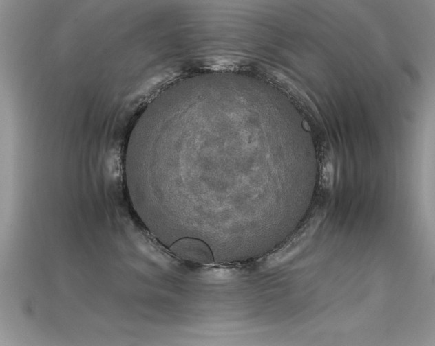 X0000115660620200911121215
