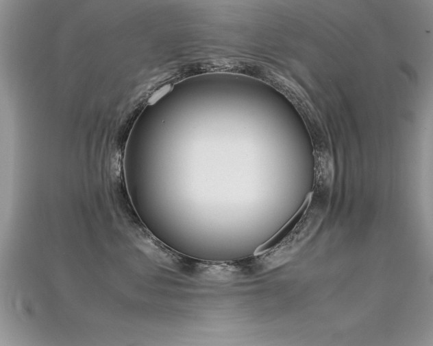 X0000115660621200911121215