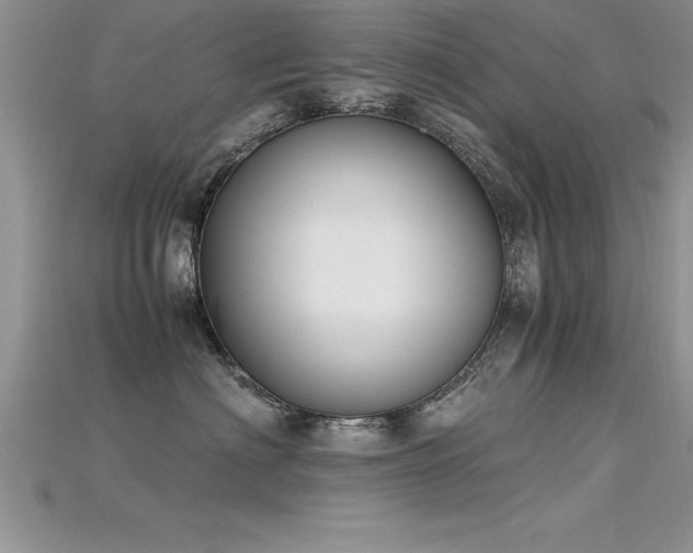 X0000115660622200911121215