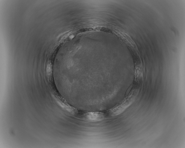 X0000115660623200911121215