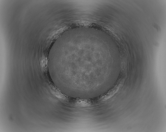 X0000115660624200911121215