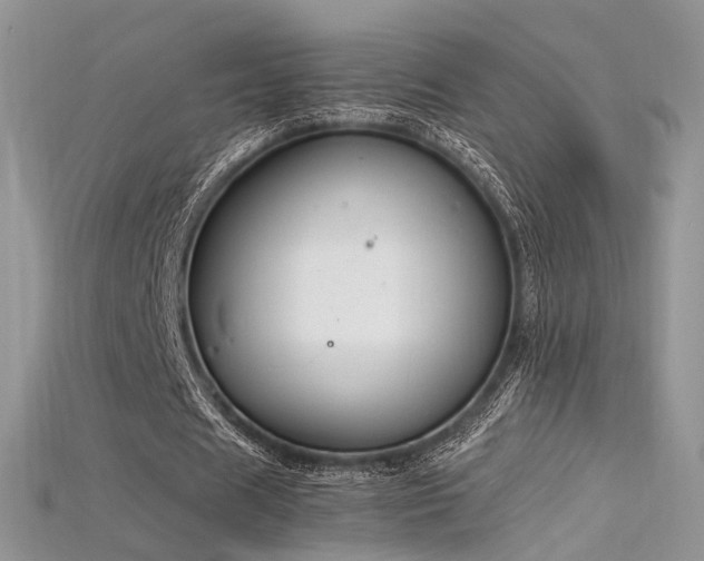 X0000115660625200911121214