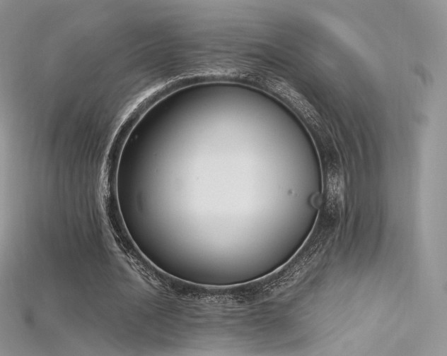 X0000115660628200911121214