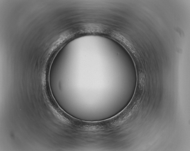X0000115660629200911121214