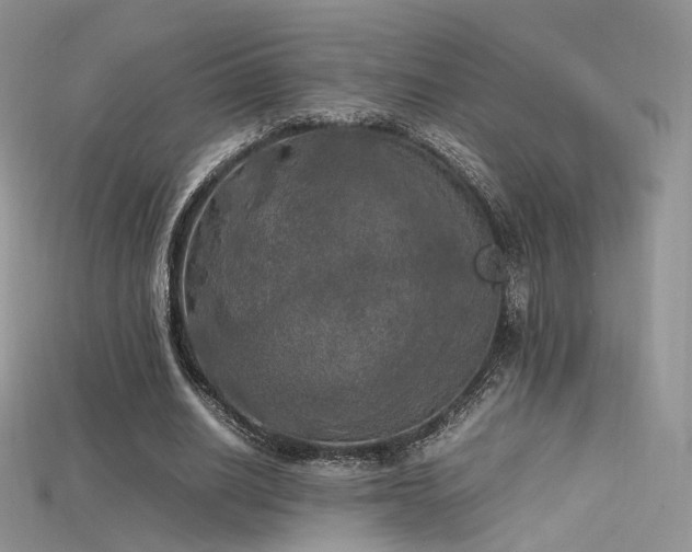 X0000115660630200911121214