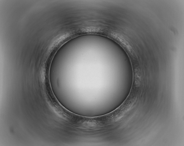 X0000115660631200911121214