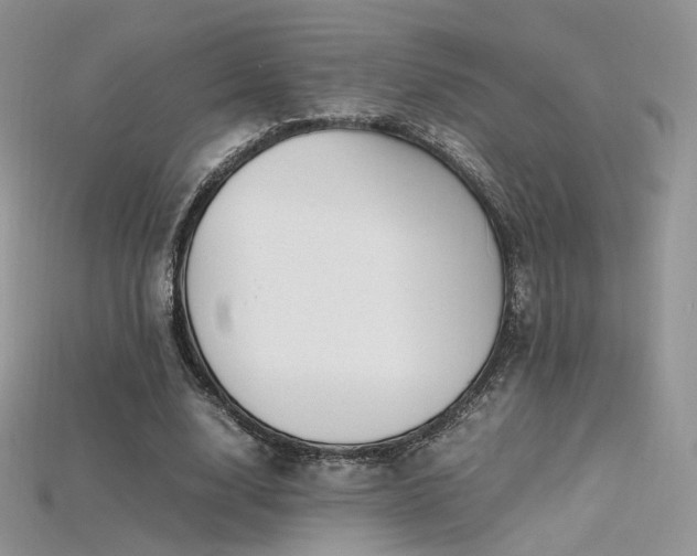 X0000115660632200911121214