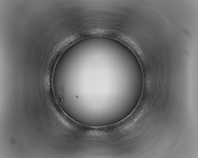 X0000115660633200911121214