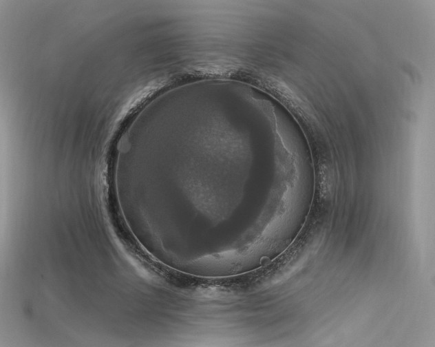 X0000115660634200911121214