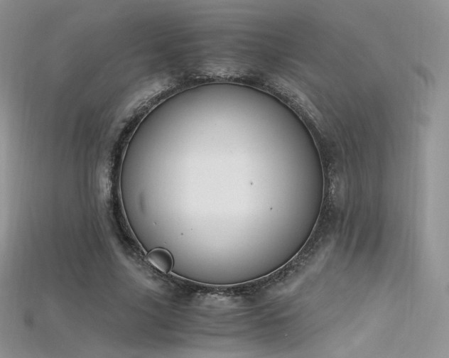 X0000115660635200911121214