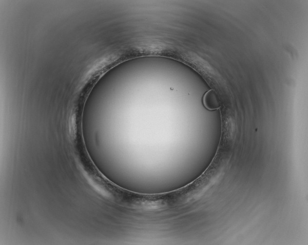 X0000115660638200911121214