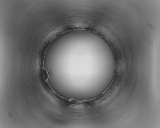 X0000115660639200911121214