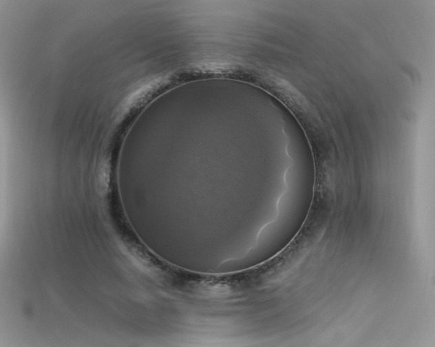 X0000115660640200911121214