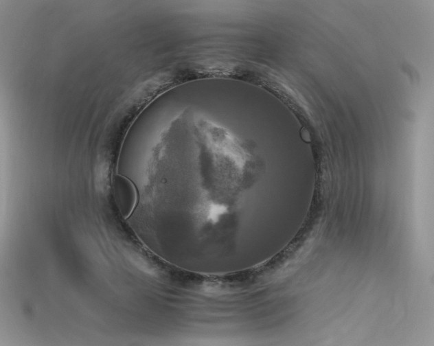 X0000115660641200911121214