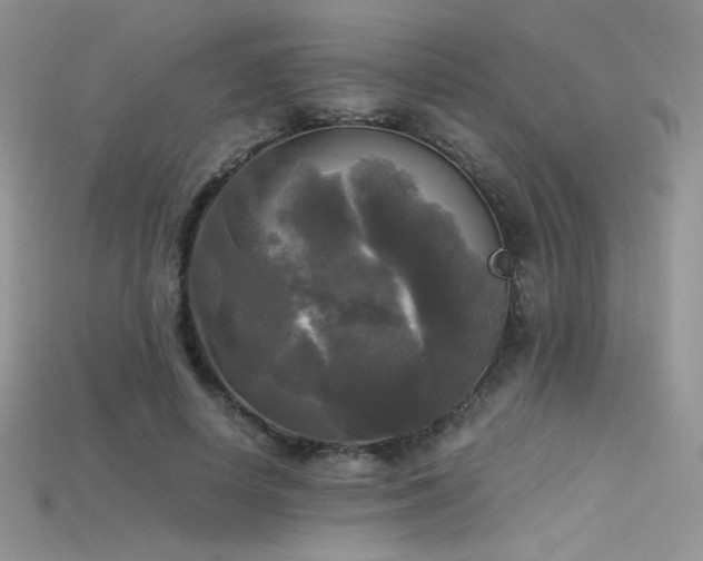 X0000115660642200911121214