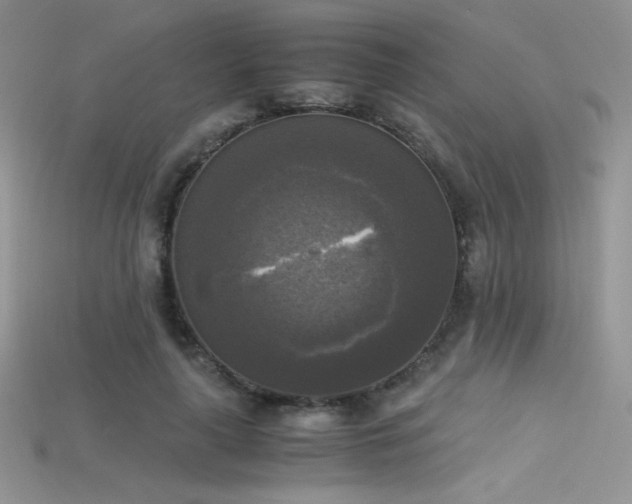 X0000115660643200911121214