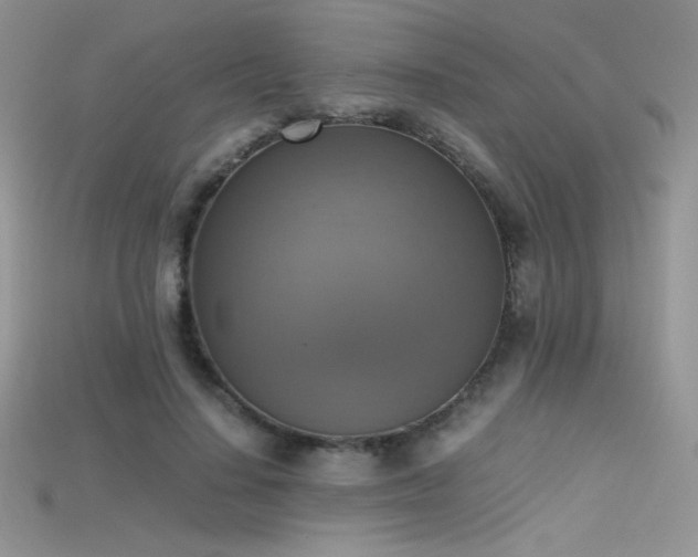 X0000115660644200911121214