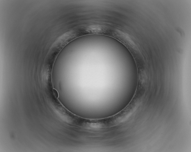X0000115660645200911121214