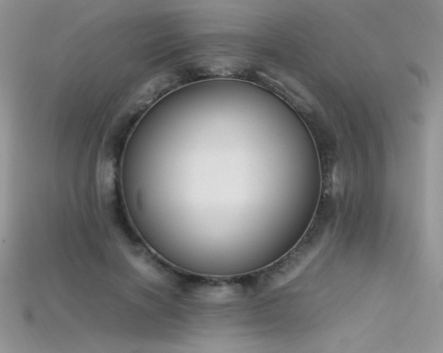 X0000115660646200911121214