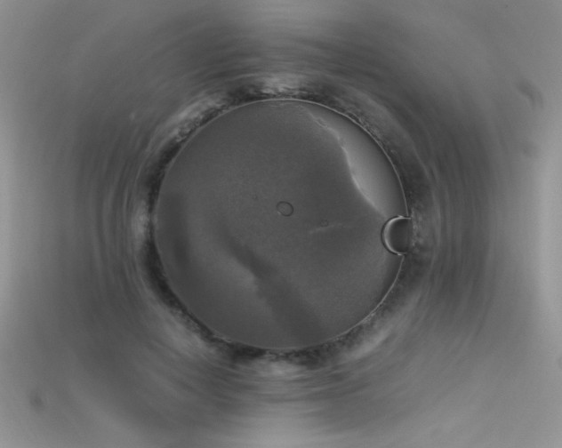 X0000115660648200911121214