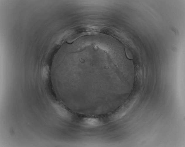 X0000115660649200911121214