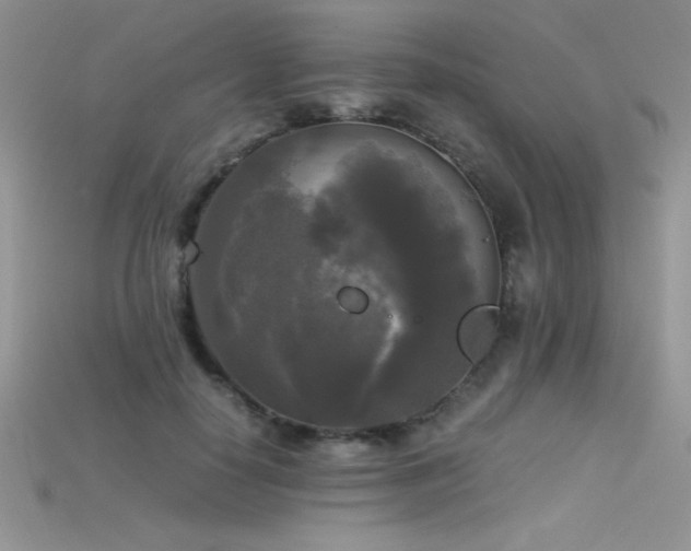 X0000115660650200911121214