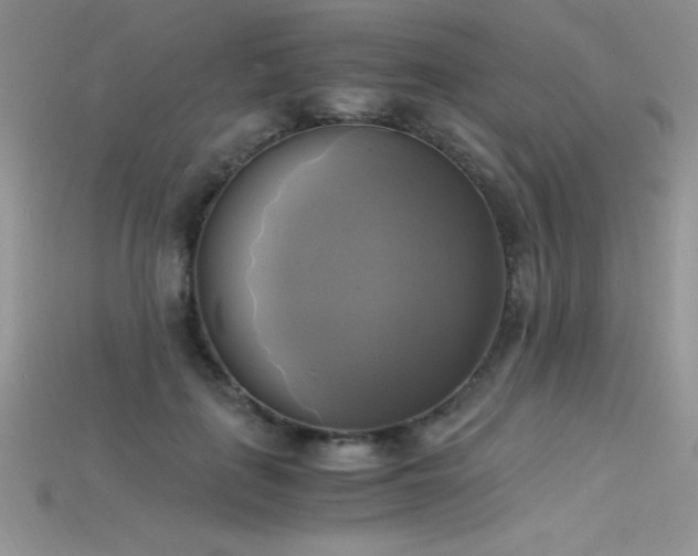 X0000115660651200911121215