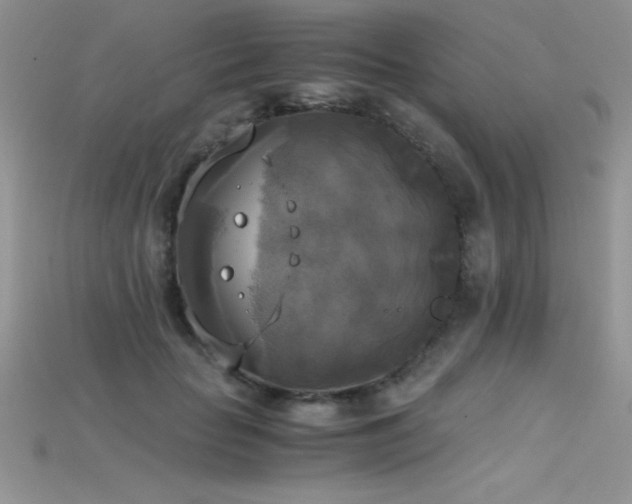 X0000115660653200911121215