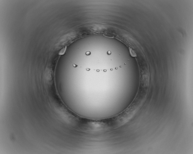 X0000115660654200911121215