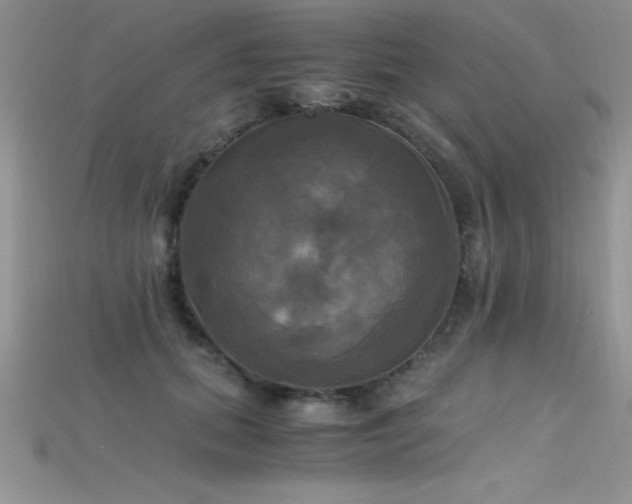 X0000115660655200911121215