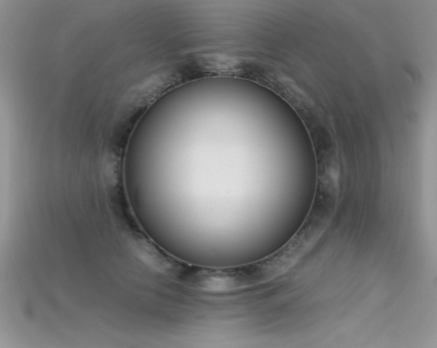 X0000115660658200911121215
