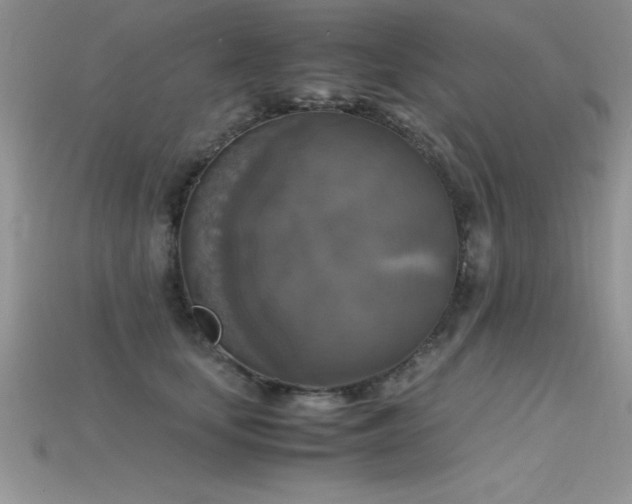 X0000115660659200911121215