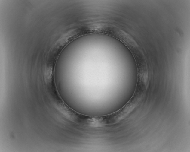 X0000115660660200911121215
