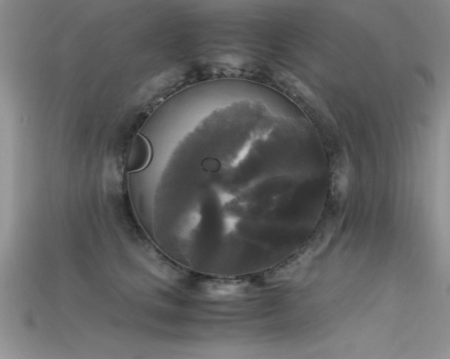 X0000115660661200911121215