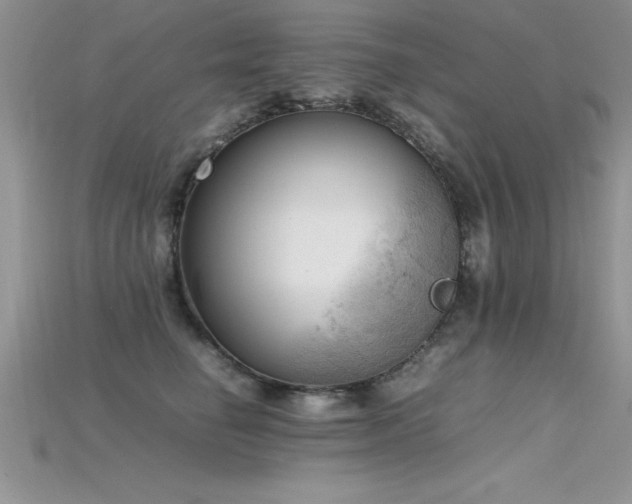 X0000115660662200911121215