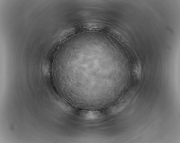 X0000115660663200911121215