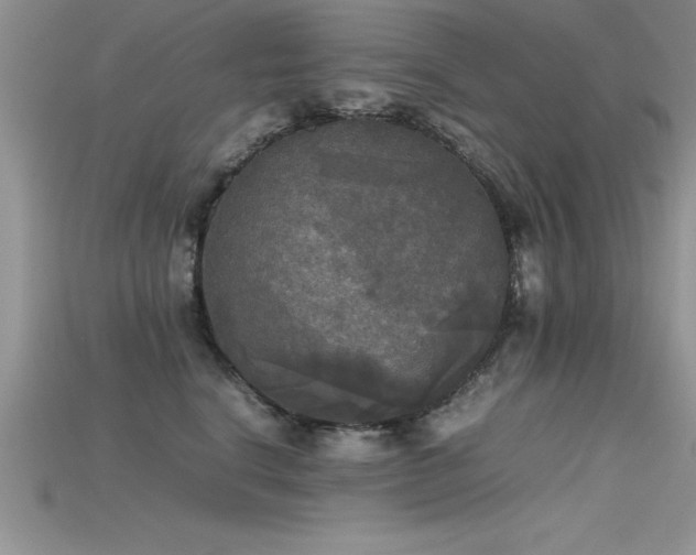 X0000115660664200911121215