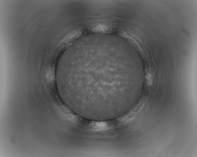 X0000115660665200911121215