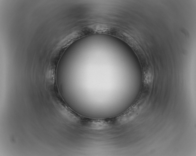 X0000115660666200911121215
