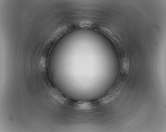 X0000115660667200911121215