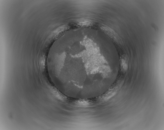 X0000115660668200911121215