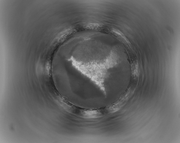 X0000115660669200911121215