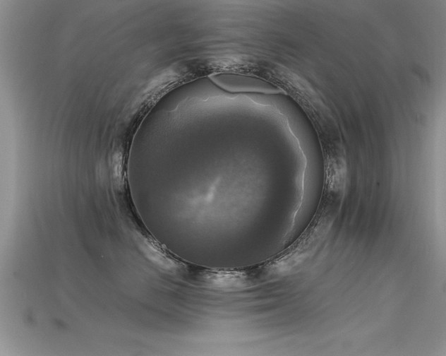 X0000115660670200911121215